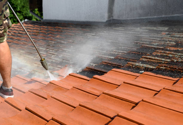 Local Pressure Washing Services in Appleton, WI